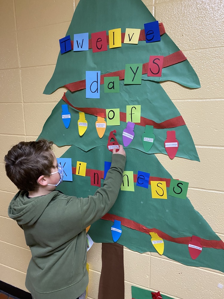 Child putting an ornament on the tree