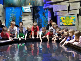 1st grade Field Trip
